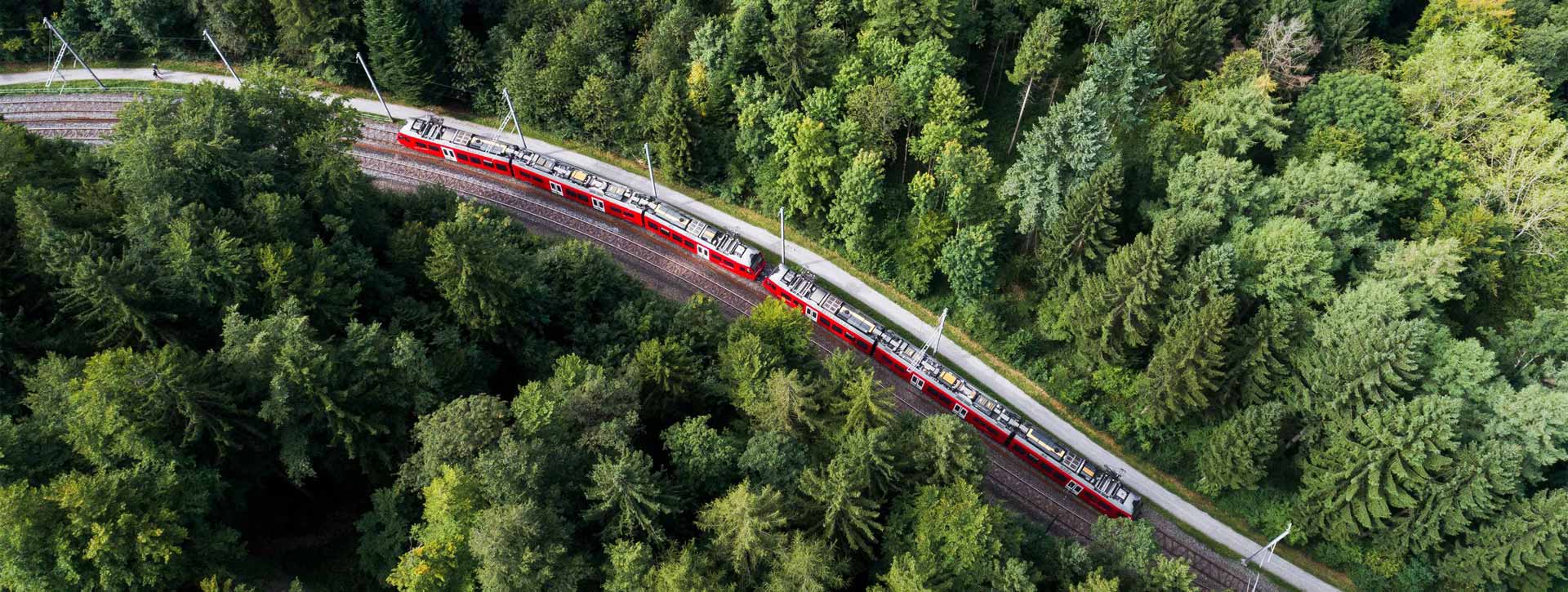 Ein roter Zug fährt auf einer Eisenbahnschiene durch einen Wald